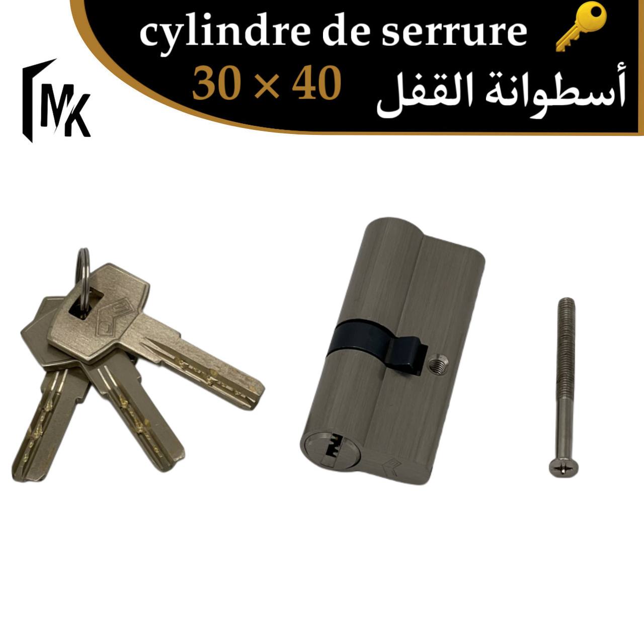 Cylindre de serrure Jis 🇪🇸 30×40 mm