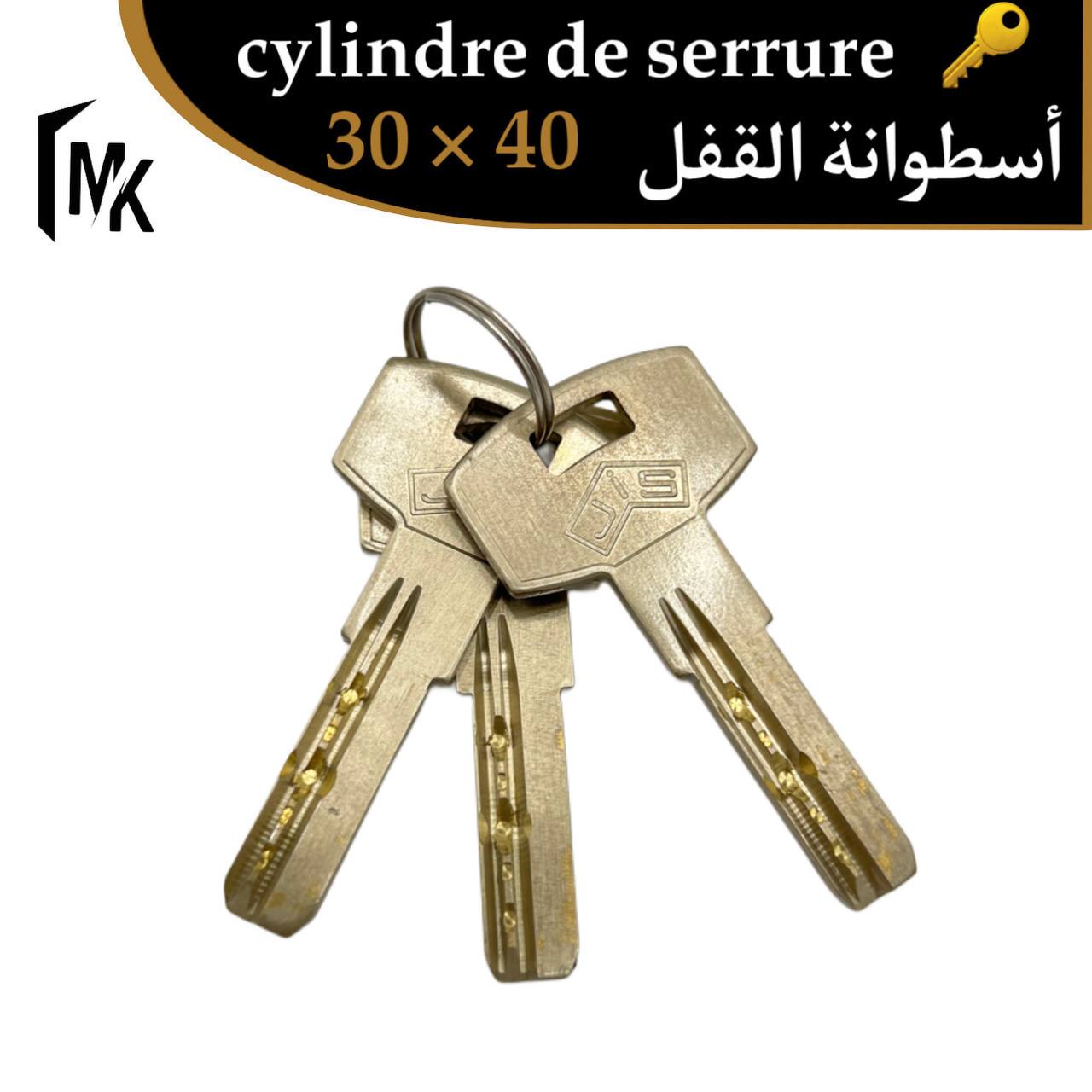 Cylindre de serrure Jis 🇪🇸 30×40 mm