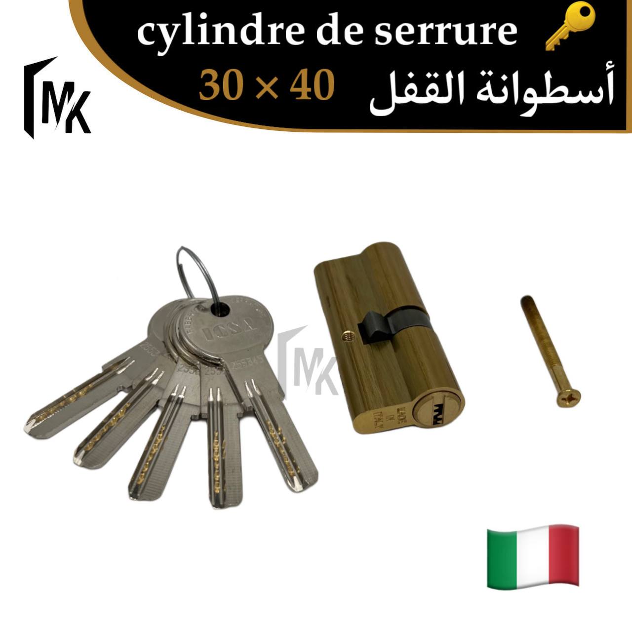 Cylindre de serrure icsa 🇮🇹 30×40 mm
