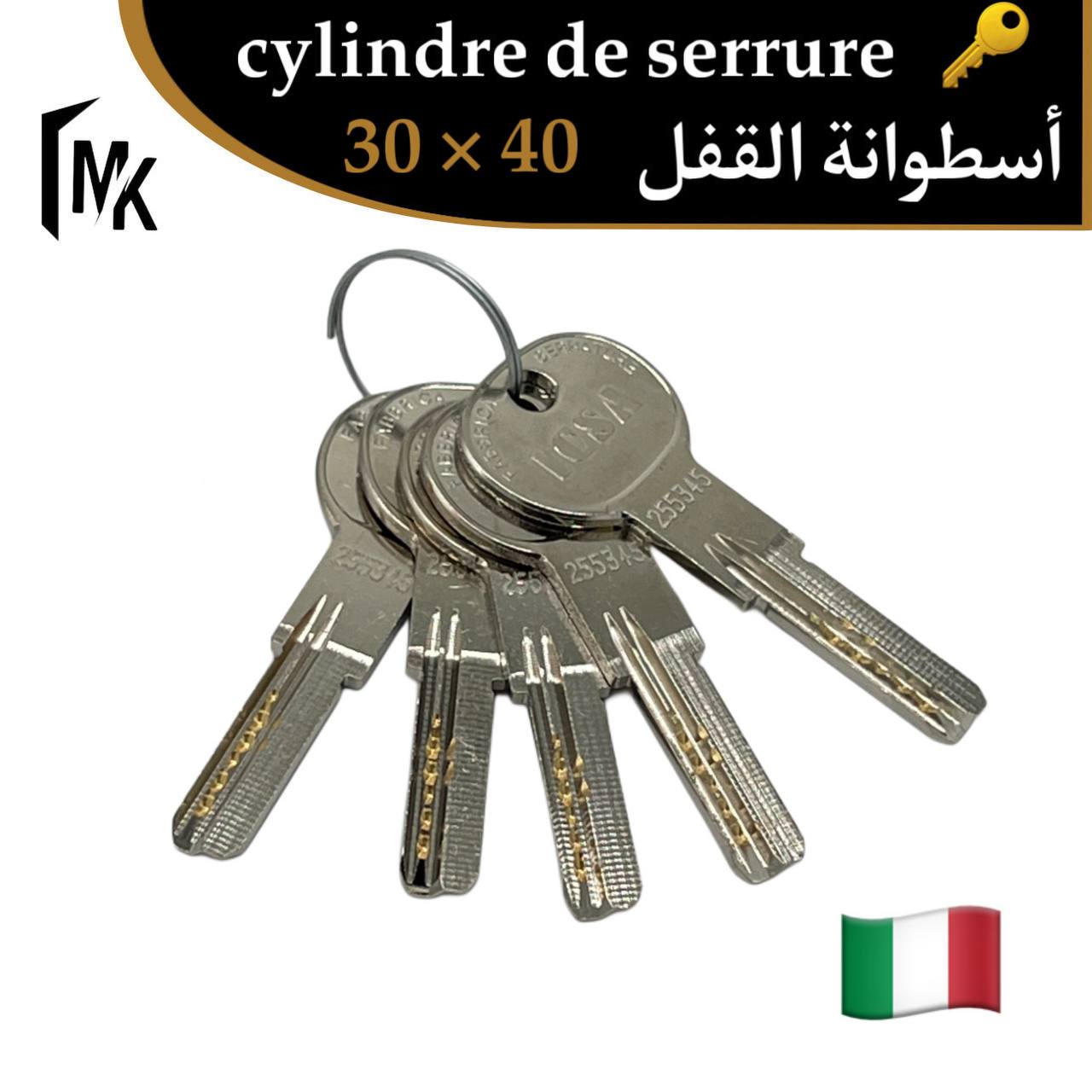 Cylindre de serrure icsa 🇮🇹 30×40 mm
