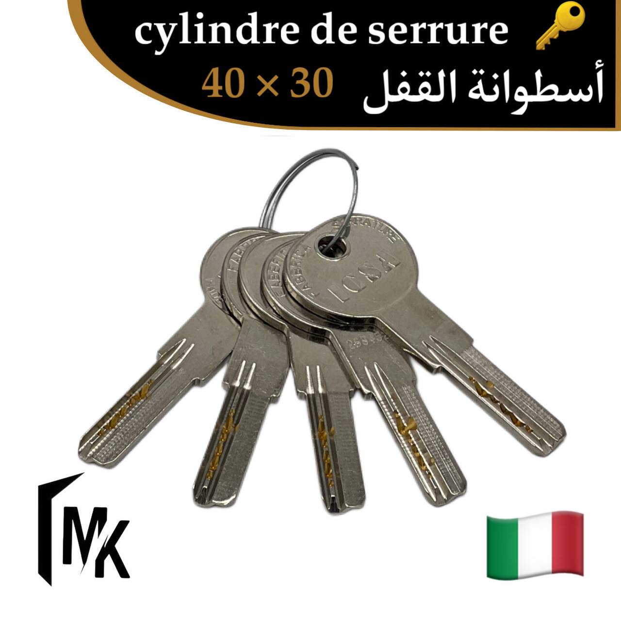 Cylindre de serrure à bouton icsa 🇮🇹 40×30 mm