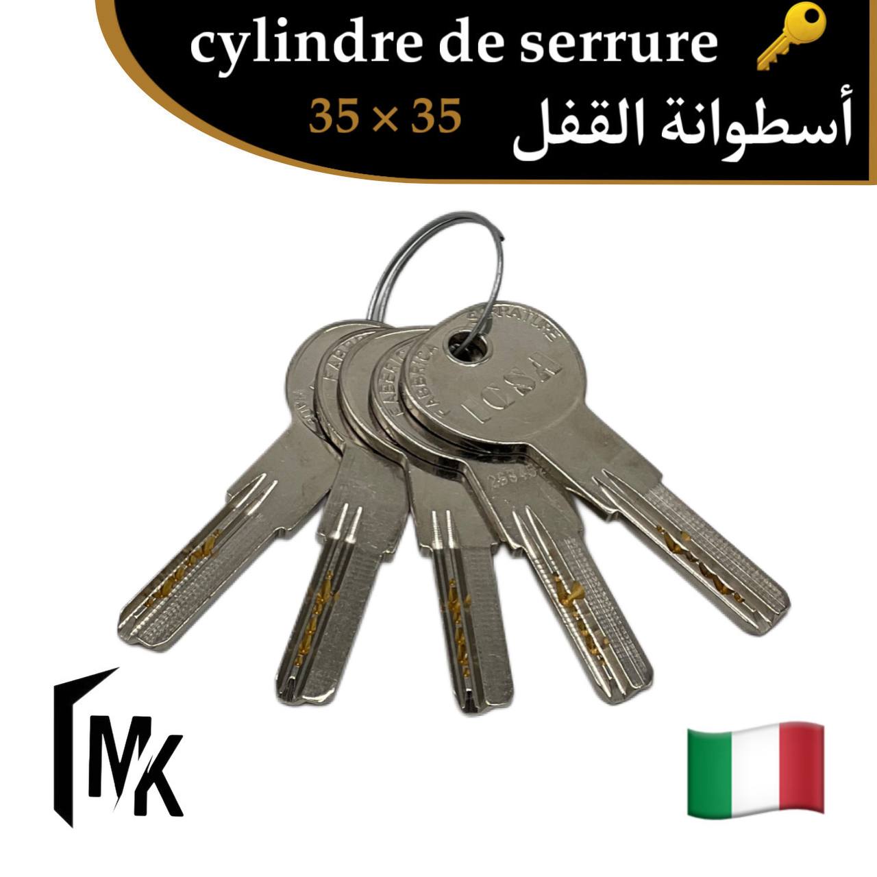 Cylindre de serrure icsa 🇮🇹 35×35 mm