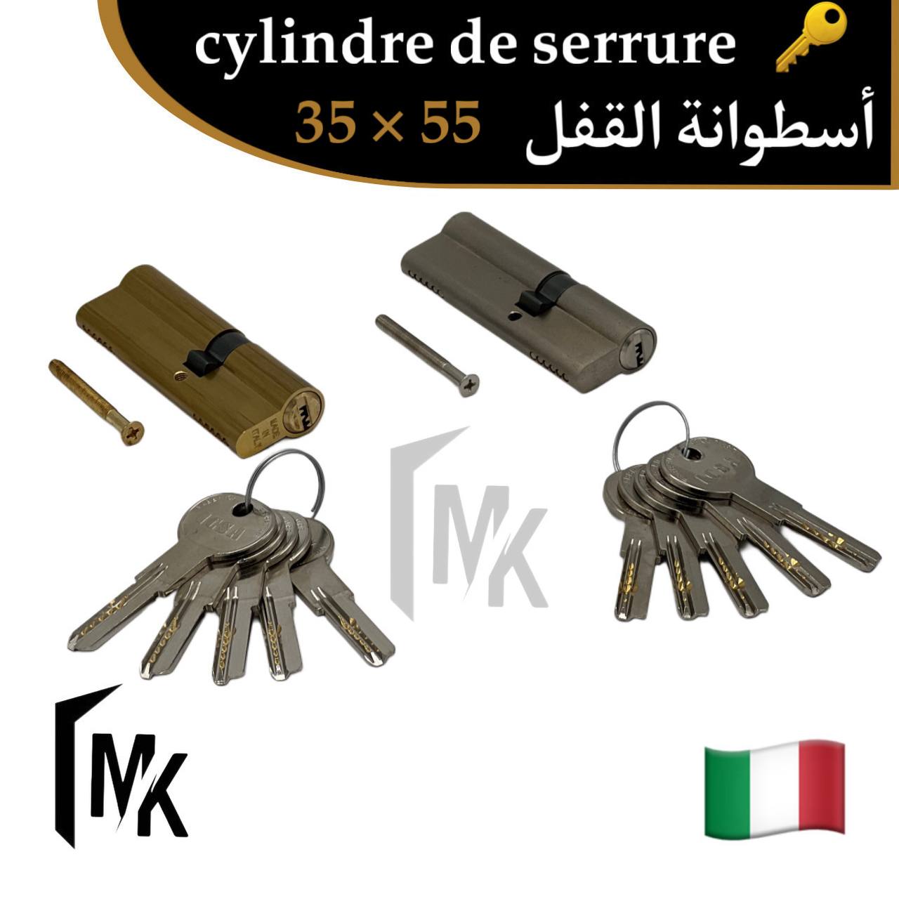 Cylindre de serrure icsa 🇮🇹 35×55 mm