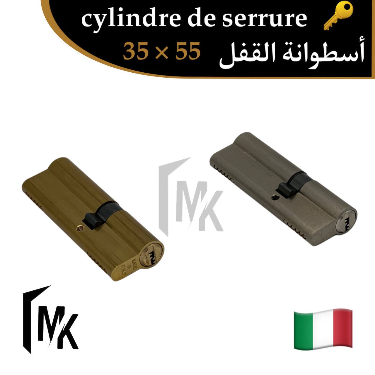 Cylindre de serrure icsa 🇮🇹 35×55 mm