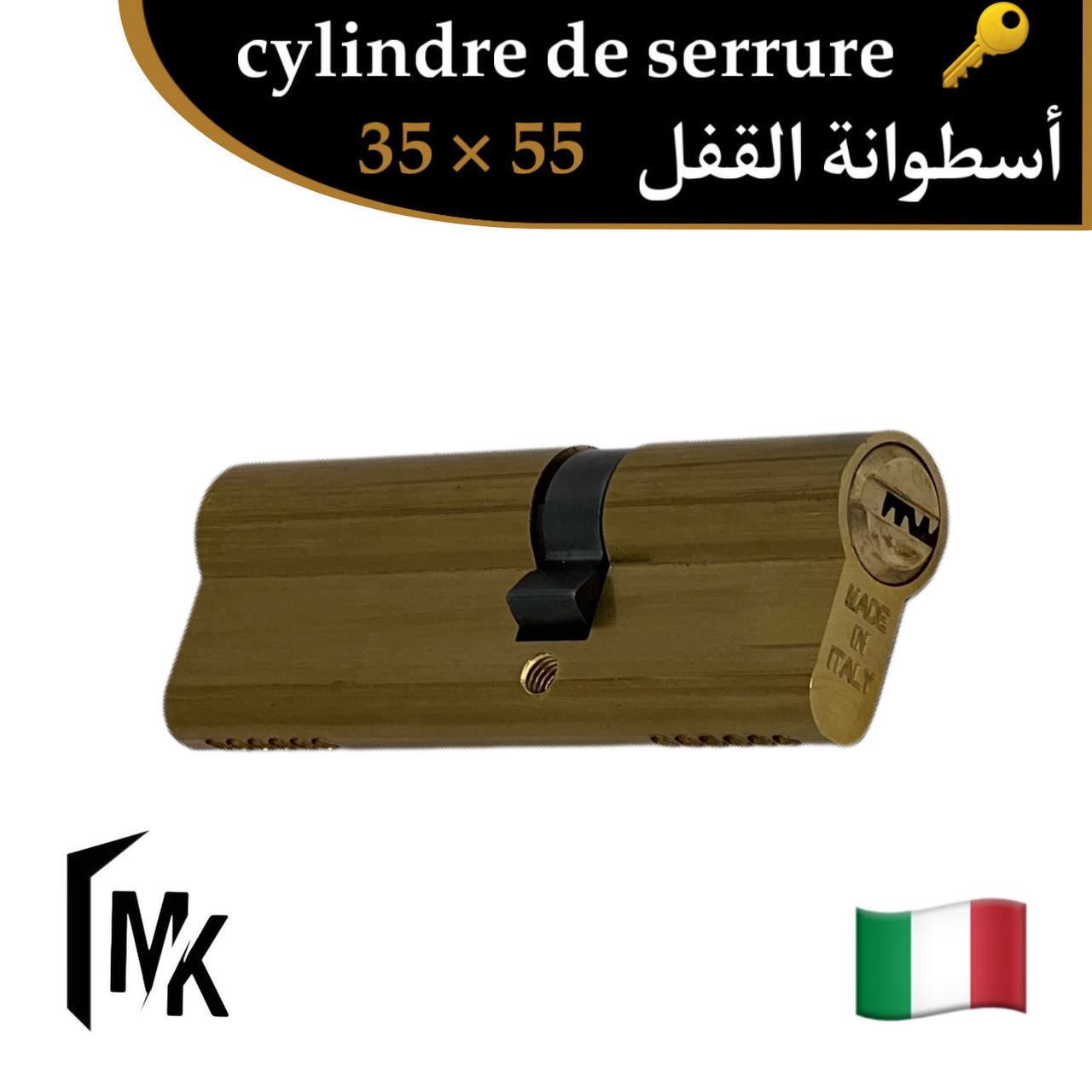 Cylindre de serrure icsa 🇮🇹 35×55 mm