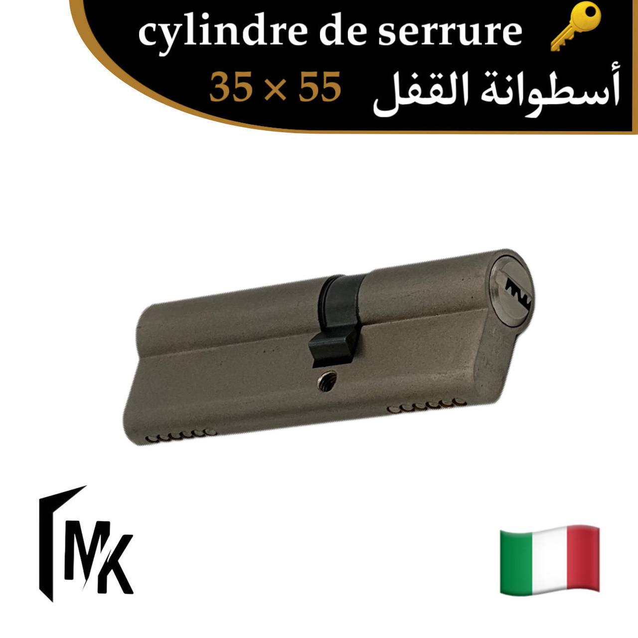 Cylindre de serrure icsa 🇮🇹 35×55 mm