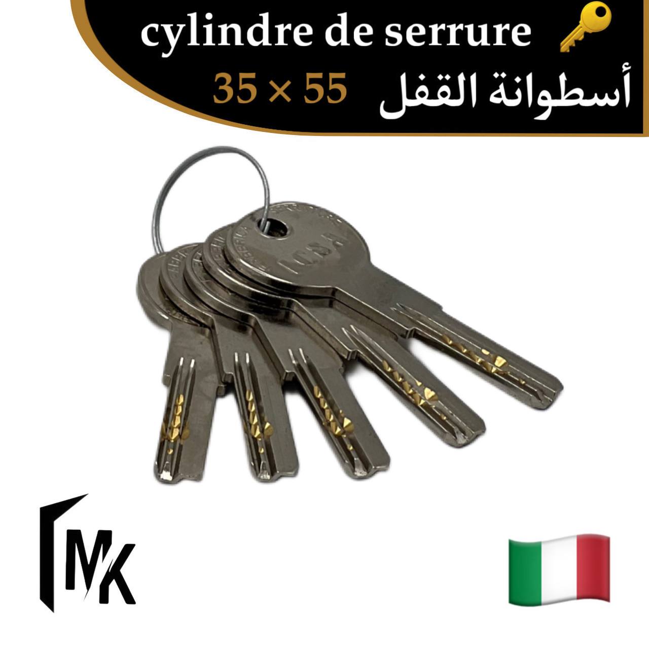 Cylindre de serrure icsa 🇮🇹 35×55 mm