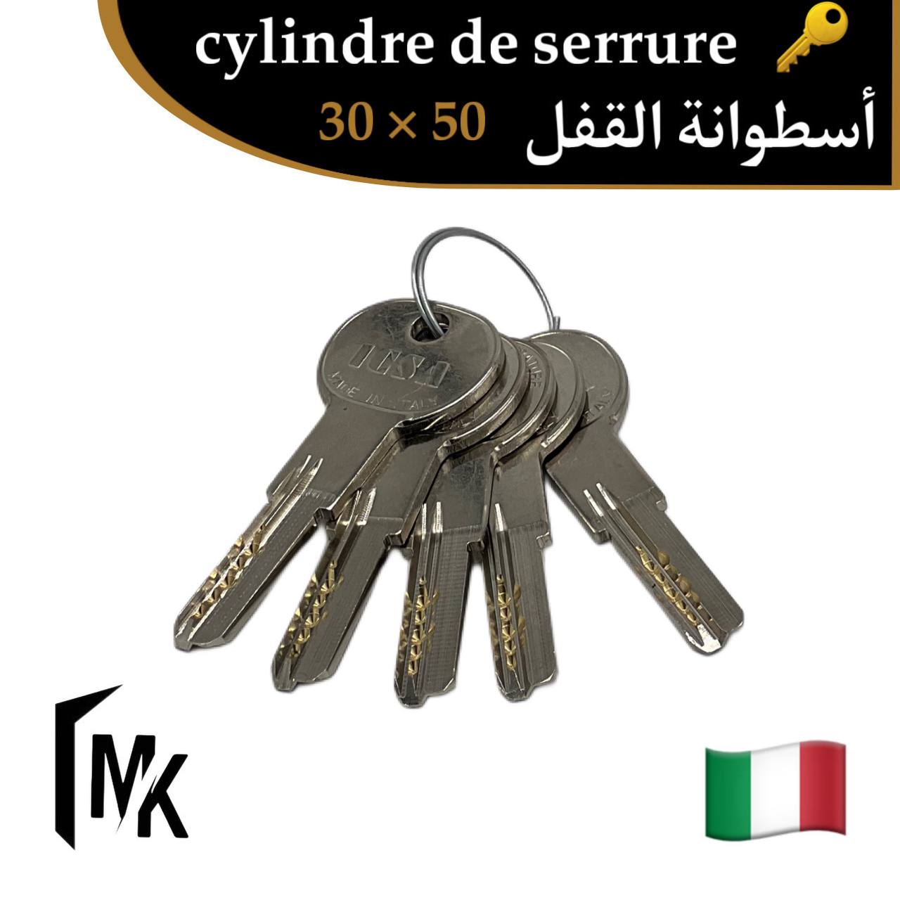 Cylindre de serrure à bouton icsa 🇮🇹 35×55 mm