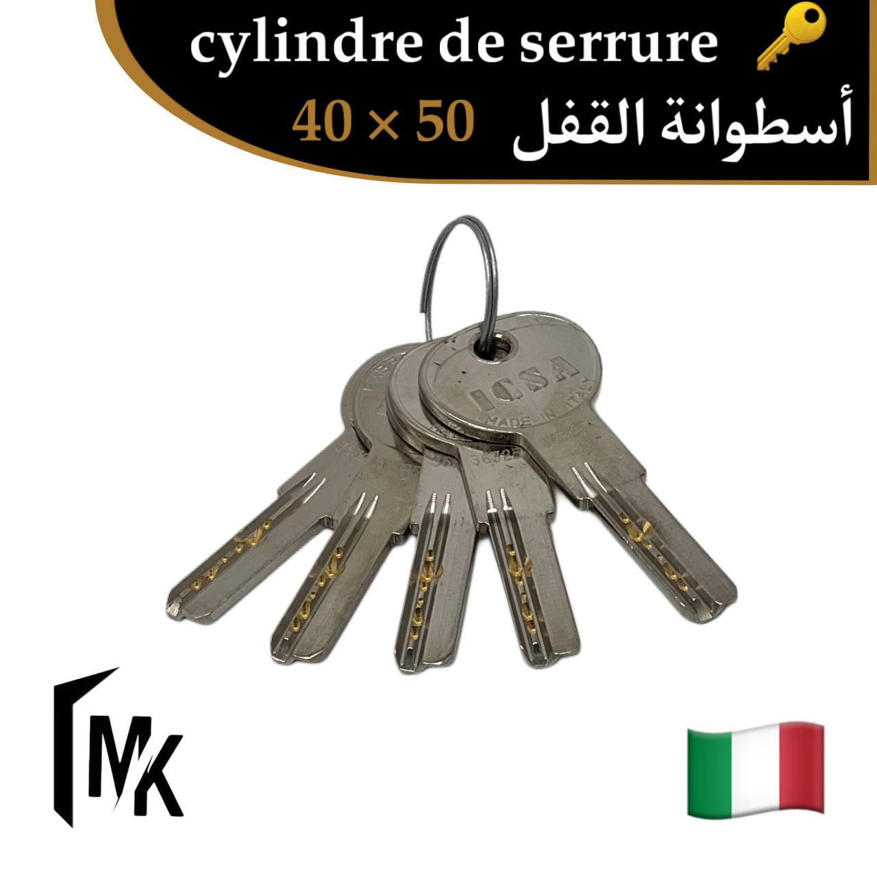 Cylindre de serrure icsa 🇮🇹 40×50 mm