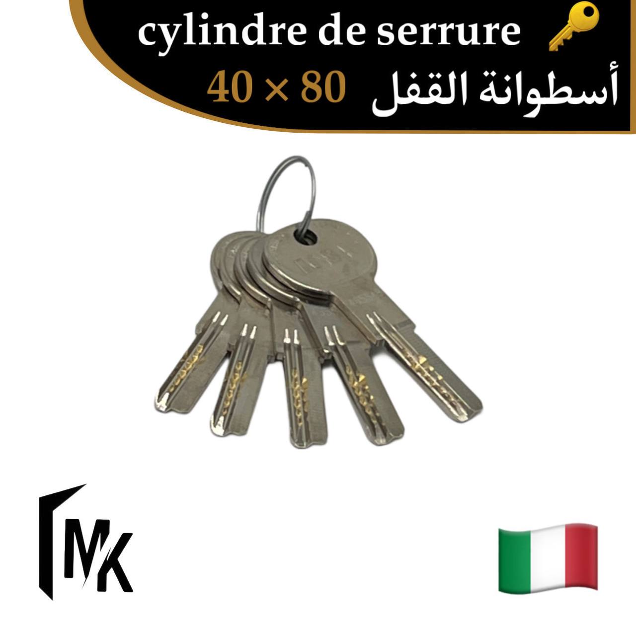 Cylindre de serrure icsa 🇮🇹 40×80 mm