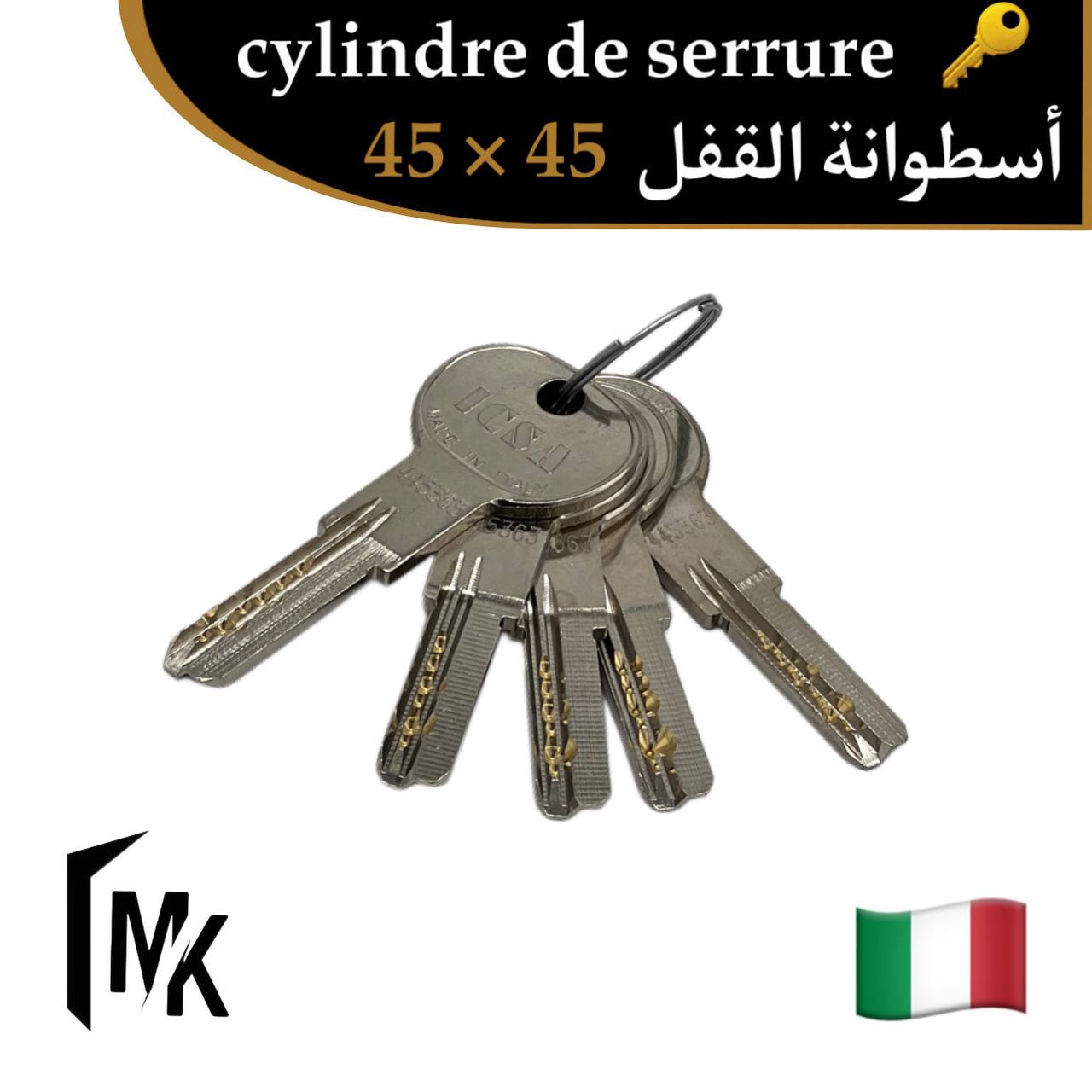 Cylindre de serrure icsa 🇮🇹 45×45 mm