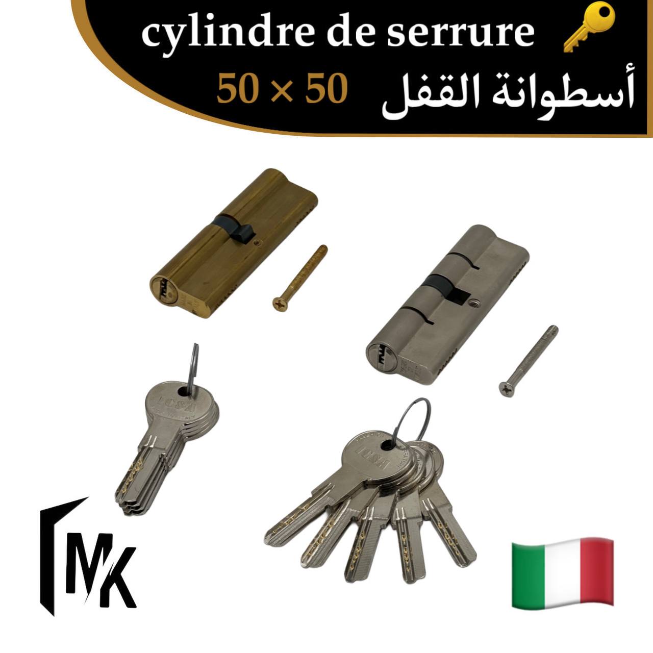 Cylindre de serrure icsa 🇮🇹 50×50 mm