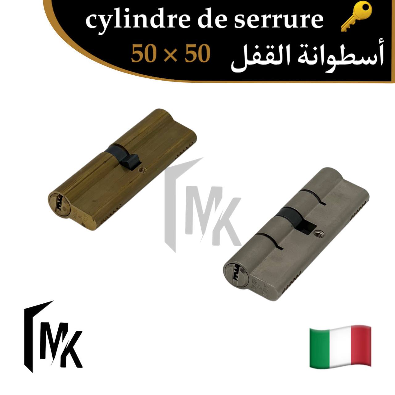Cylindre de serrure icsa 🇮🇹 50×50 mm