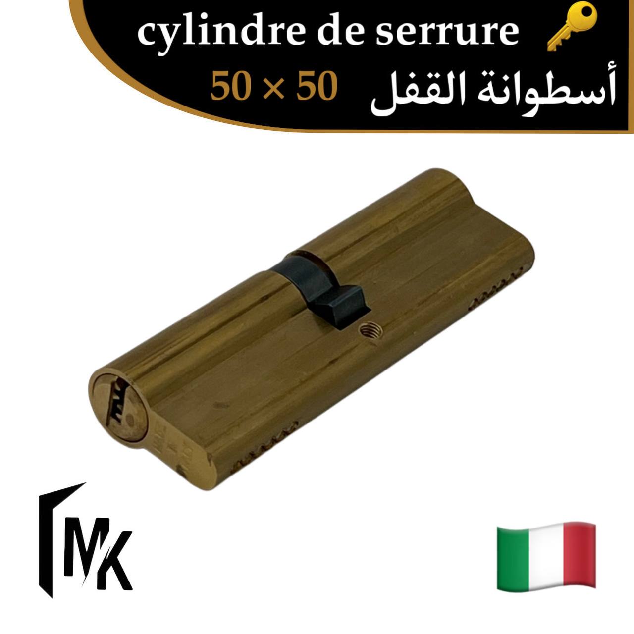 Cylindre de serrure icsa 🇮🇹 50×50 mm