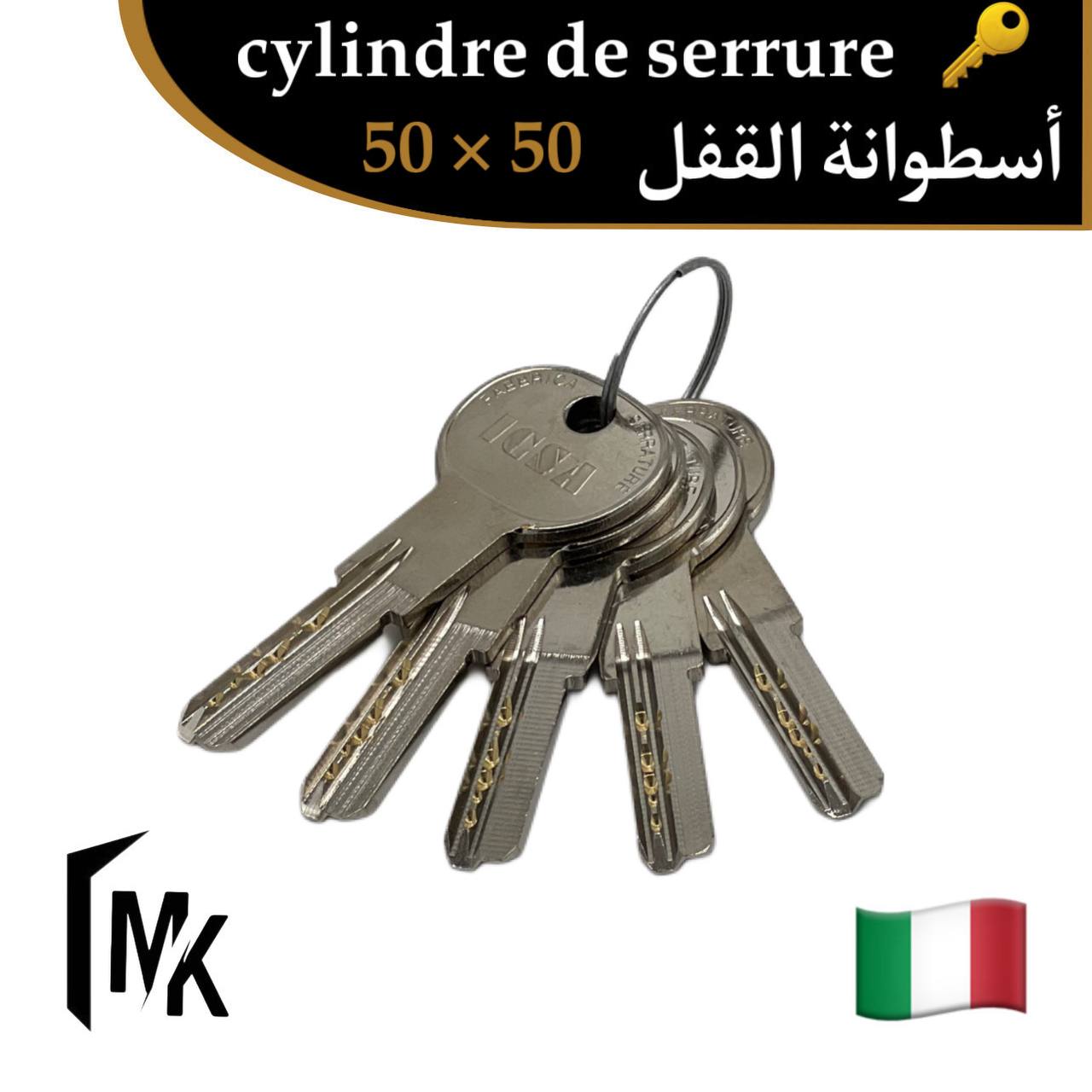 Cylindre de serrure icsa 🇮🇹 50×50 mm