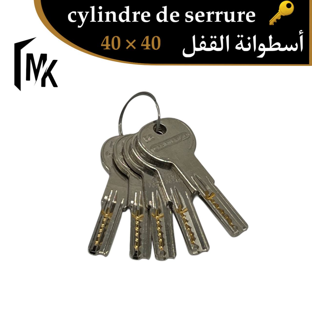 Cylindre de serrure CRAFTER WC 40×40 mm