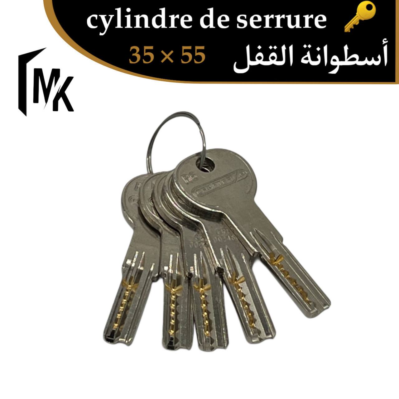 Cylindre de serrure CRAFTER 35×55 mm