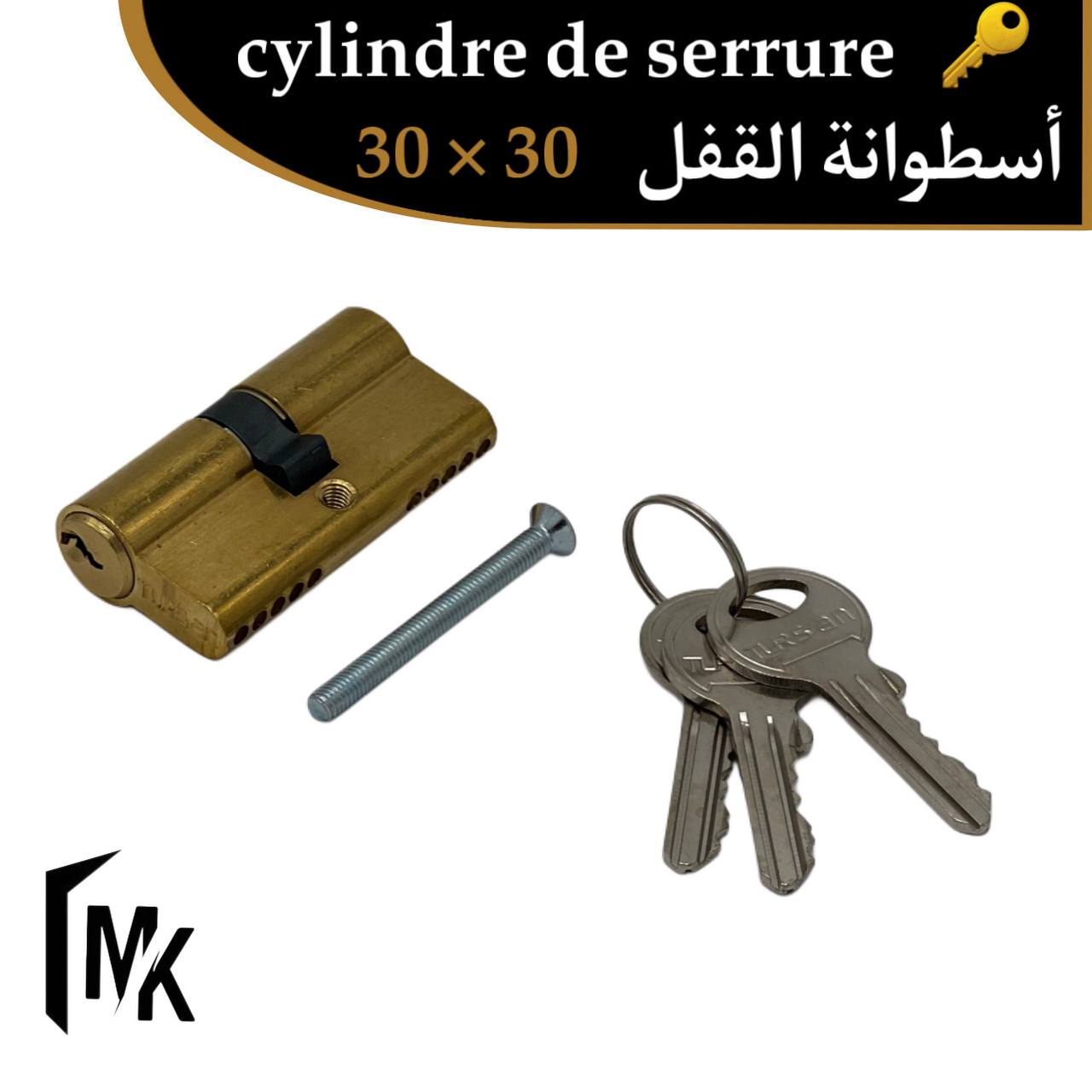 Cylindre de serrure TURSAN 30×30 mm