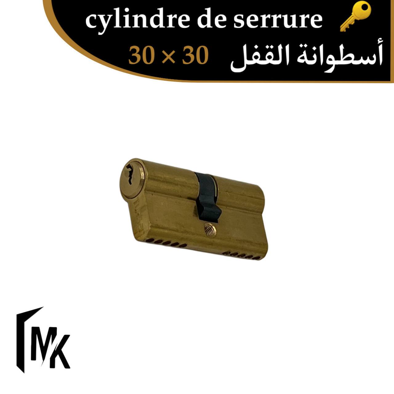 Cylindre de serrure TURSAN 30×30 mm