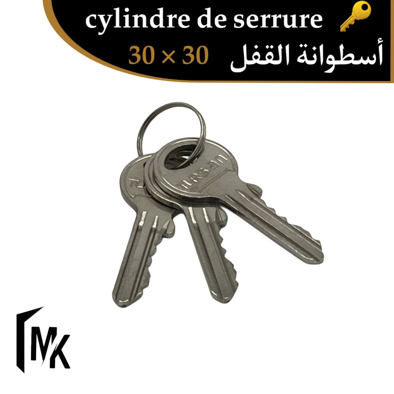 Cylindre de serrure TURSAN 30×30 mm