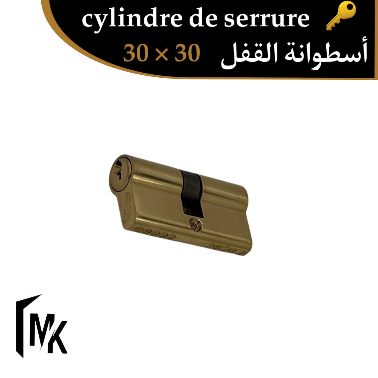 Cylindre de serrure Tover 30×30 mm