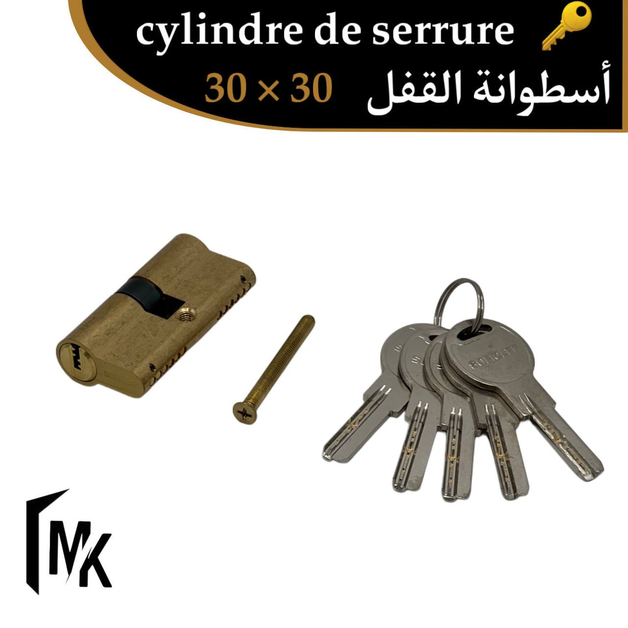 Cylindre de serrure SOFICLEF 30×30 mm