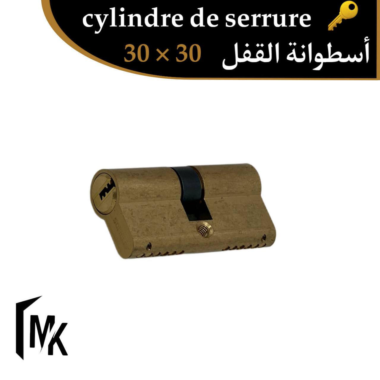 Cylindre de serrure SOFICLEF 30×30 mm