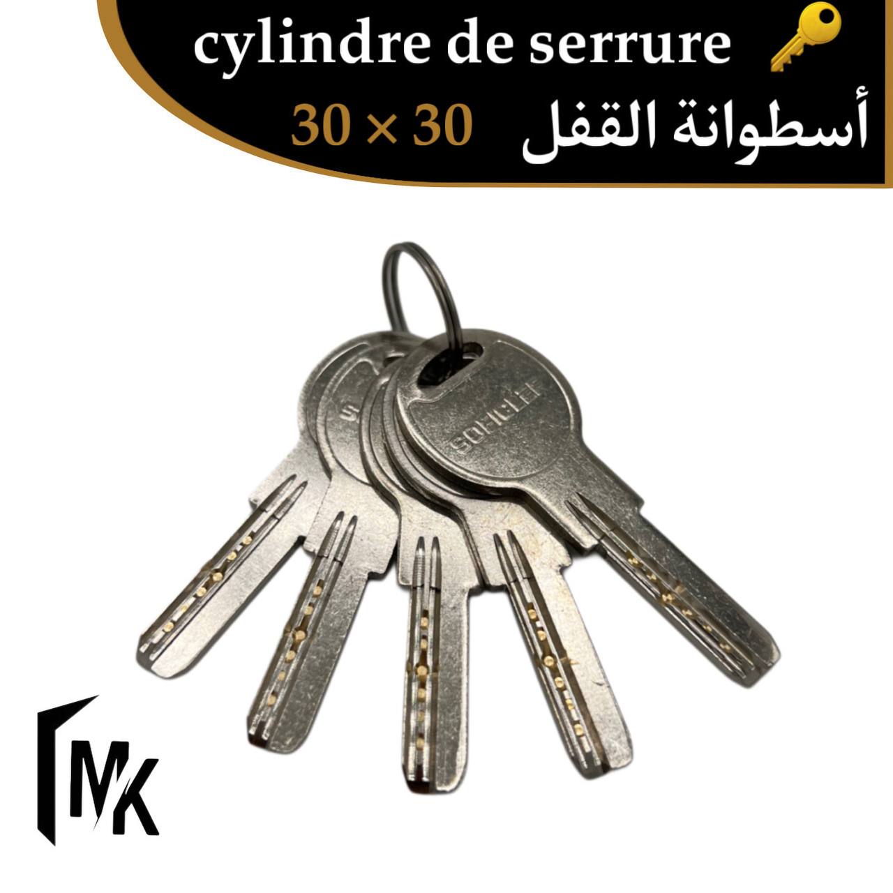 Cylindre de serrure SOFICLEF 30×30 mm