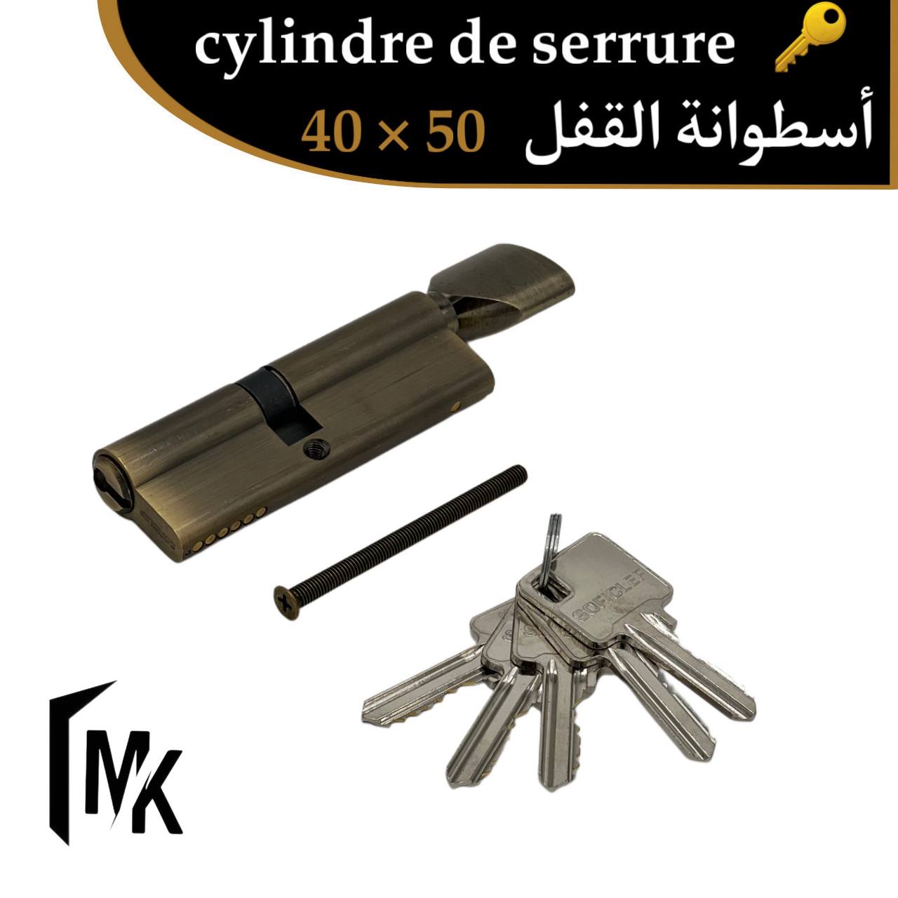 Cylindre de serrure SOFICLEF 40×50 mm