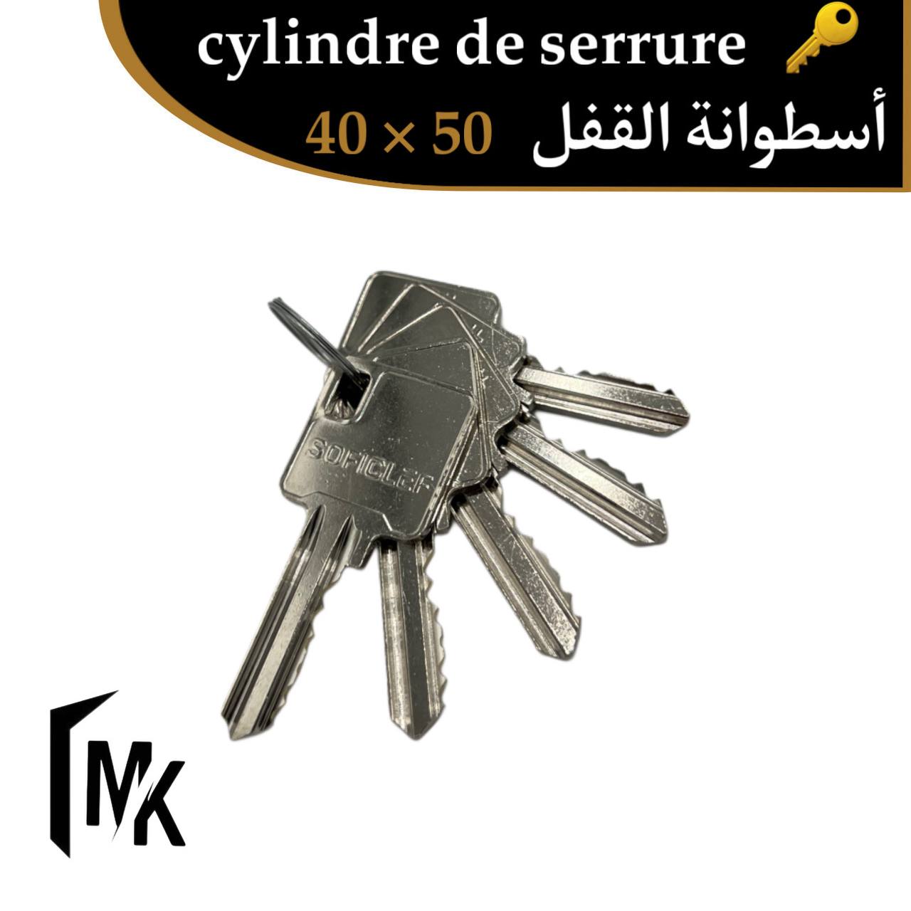 Cylindre de serrure SOFICLEF 40×50 mm