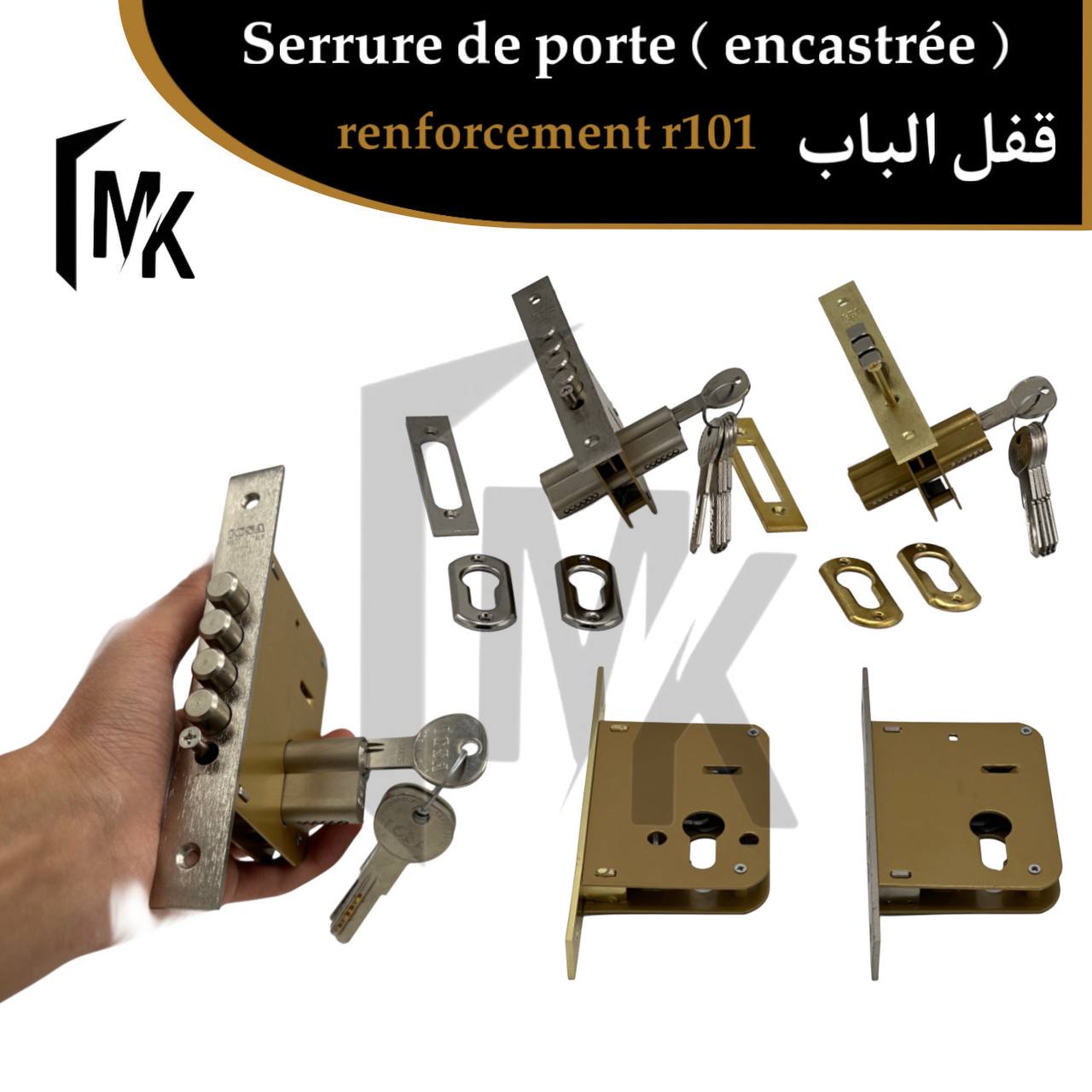 Serrure icsa 🇮🇹 Renforcement R 101 Ax 50